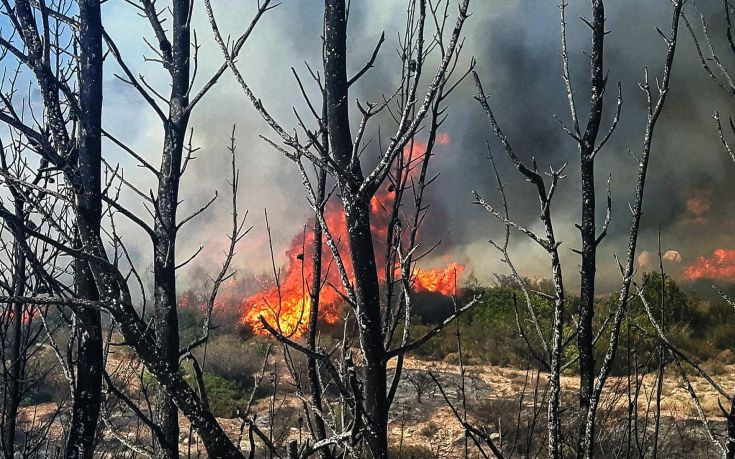 Σε ύφεση η πυρκαγιά στην Ανάβυσσο – Καλύτερη η εικόνα από τη φωτιά στις Σπέτσες